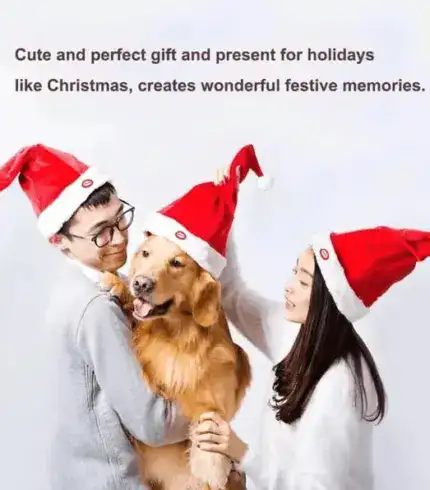 Electric Christmas Hat
